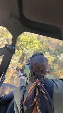 Darting Bull Elephants for GPS Collaring with Wildlife Vet Maria Caiado | Pneu-Dart