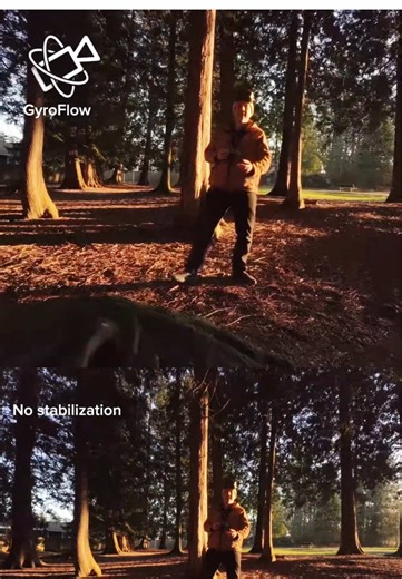 GyroFlow: Stabilizing App for iOS and Android