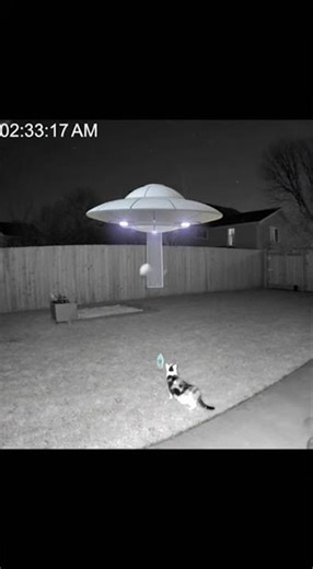 Security Camera Catches Cat Meeting ALIEN 👽📹 #Shorts