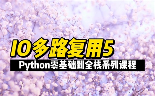 IO多路复用5 - 《Python零基础到全栈系列》