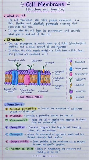 Cell membrane structure and function | plasma membrane structure and function ll