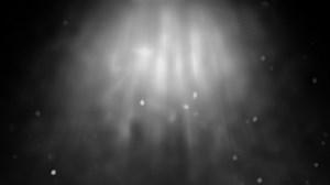 Loop black and white flare light  with white dust