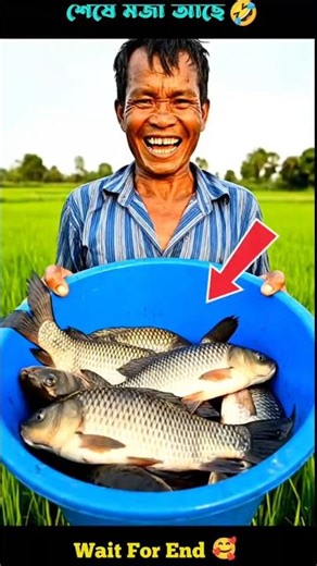 Why Indonesian Farmers Earn Double Profit from Rice Farming | Rice–Fish Farming System