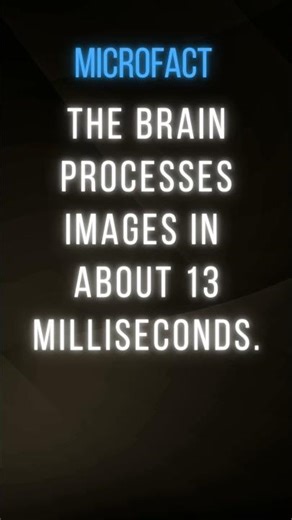 The brain processes images in about 13 milliseconds.