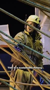 Why Sustainable Fishing Matters: The Science, the Fleet, and the Ocean That Feeds Us