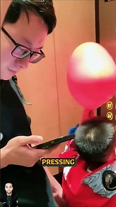 Dad's Ultimate Epic Son Revenge! 😱💥 #shorts