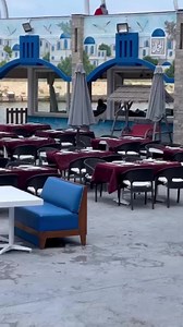 1.5K views · 41 reactions | Join us at Seagull, El Max for the best seafood experience ever! Seagull, El Max, Alexandria For reservations: 01212333311 #seagull #seagullrestaurants #seafood #fish #fresh #fried #grilled #seafoodlover #seafoodtime #seafoofexperience #seaview | Seagull Restaurants | Facebook