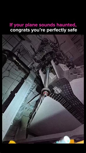 Everyone hears that weird grinding, barking, alien dog noise right before an A320 takes off… and everyone thinks it’s the tail adjusting. But nope, that sound isn’t coming from the stabilizer at all. It’s coming from deep inside the landing gear bay, where the PTU (“Power Transfer Unit”) is basically screaming its way through balancing hydraulic pressure between two independent systems. It’s loud, it’s rhythmic, and it sounds like a dog trying to escape the walls, but it’s actually one of the mo