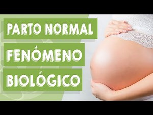 Parto Normal é um fenômeno biológico