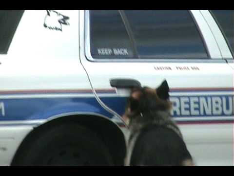 Smartest Police Dog Ever!