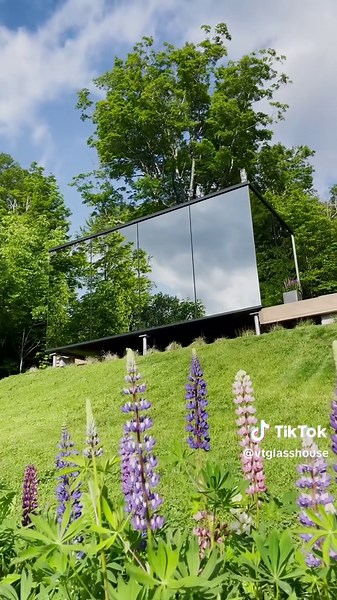 Discovering Our Vermont Cabin Retreat Journey