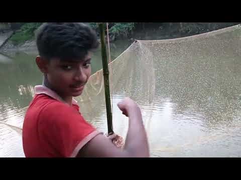 নদীতে মাছ ধরছে সবাই। 🐬@md Nazmus shakib vlog।New vlog।2025 fishing