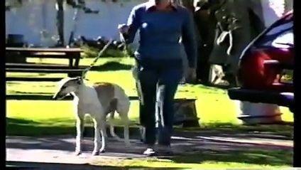 30K views · 225 reactions | Sophistication John Farragher | Retro Rugby League videos | Facebook