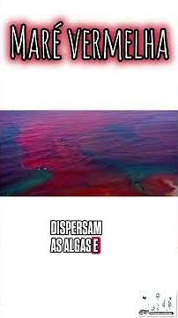 Red tide #biology #science #protoctista #protista #algae #dinoflagellates #redtide
