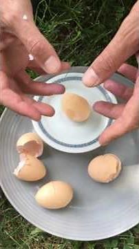 This Is Why Your Hens Are Laying Soft Shelled Eggs And What You Need To Do To Fix It