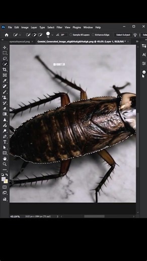 How to Add Patterns on an Insect in Photoshop 🐞 | Pro Editing Trick #shorts