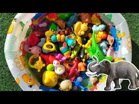Kids Learn Animal Names & Fun Facts 🐯 | Shark Elephant Parrot Caterpillar Slug & More (Super Fun!)