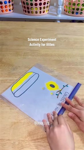 Fun Science Experiments for Young Children