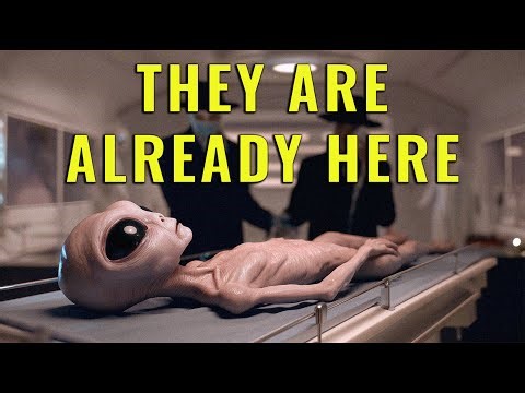 The "Grey" Alien is Just a Suit. (The Interdimensional Hypothesis)