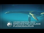 Plesiosaurus/Gallery
