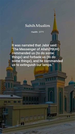 Sahih Muslim, Hadith: 3771, The Book of Transactions