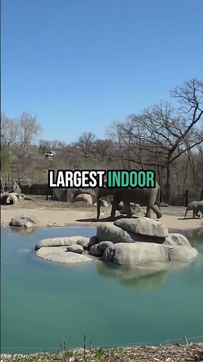 Explore Omaha’s Henry Doorly Zoo & Aquarium | World’s Largest Indoor Desert & Rainforest 🦈🌵