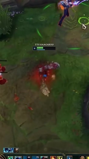 Play with a Challenger teammate and climb fast at tapin.gg
