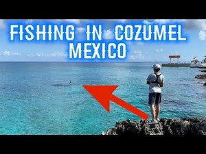 BEST FISHING IN COZUMEL MEXICO