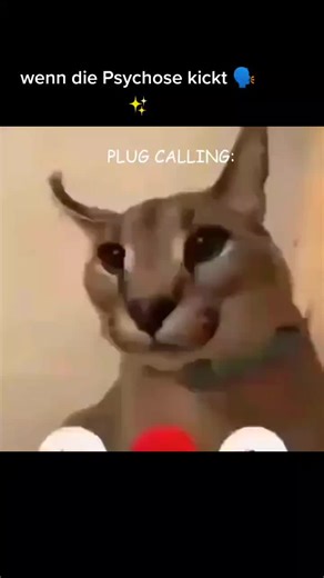 when the gwa gwa is sus #deutschrap #fyp #gwagwa #floppa #caracal