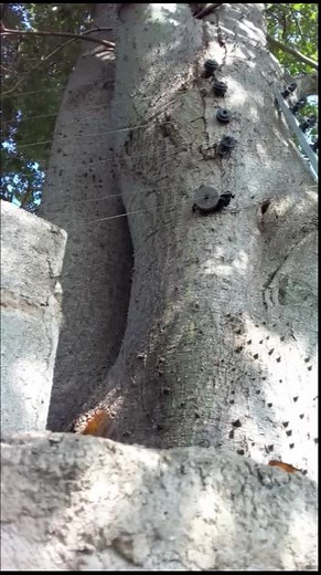 user7900116618616 ben (@user7900116618616)’s videos with original sound - user7900116618616 ben