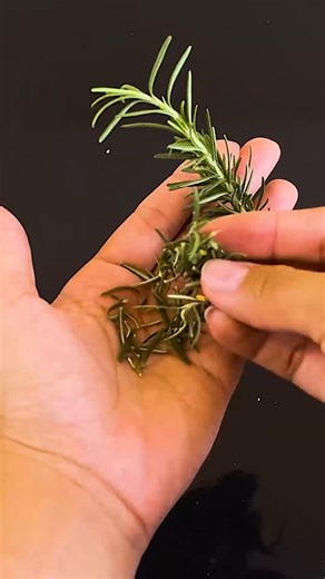 8.7K views · 169 reactions | Benefits of MINT and ROSEMARY Tea for Those Over 40! | Top Tips | Facebook