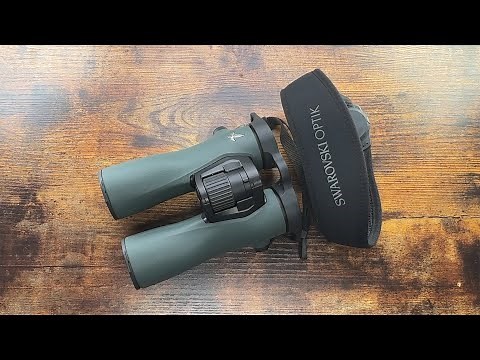 Swarovski NL Pure 10x42 Review: Ultimate Binocular Experience 🌟