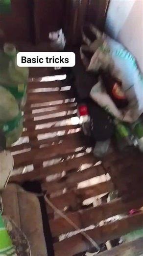 20K views · 470 reactions | Follow for tutorial #edit | Vincent James Dingcong | Facebook