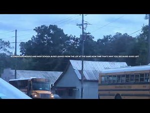 Various School buses(pm)