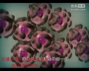 绿健通排毒原理及排毒通道