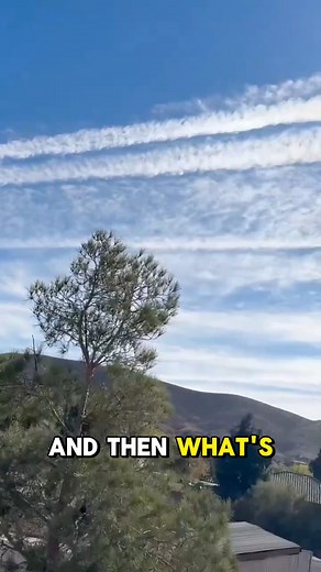 11K views · 337 reactions | Southern Utah had a clean blue sky… and in under 30 minutes it was wiped out. Line after line spreading into a thick haze that never clears. We breathe this. Our kids breathe this. Our food grows under it. But we’re still supposed to pretend it’s normal? Still supposed to call this “contrails”? Footage credit: @truthache68 #Chemtrails #Geoengineering #LookUp #SouthernUtah #SkyCrime | Wellnessradar | Facebook