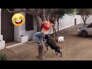 Try Not To Laugh 🤣 Top 100 Funniest Videos Ever 🎬🔥 Memes, Epic Fails & Pranks Compilation Part 17