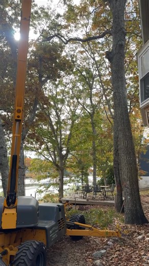 Call us for your tree service needs free estimates 5082809106 | Ed's Landscaping & Tree service