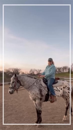 Caroline Santo on Instagram: "YOU ASKED FOR IT 😊😉 You don’t need reins to ask your horse to back up… you need intention and body awareness. Before I ever touch the reins I think take a step back. I then pull my belly button back and invite the step. Horses read our intention and body faster than our hands. When your body says back, your horse learns to listen. Connection always comes before control. 🐎✨ #horseranch #horseriding #horseconnection #holyspiritandhorses #ranchlife"