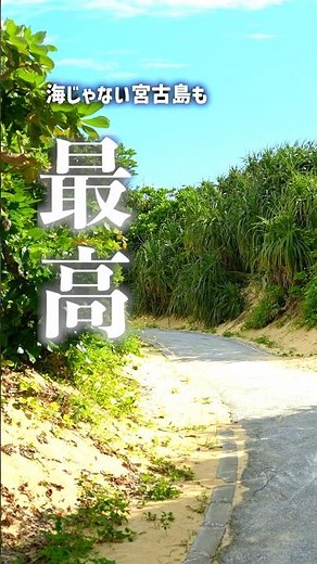 海だけじゃない、宮古島の魅力