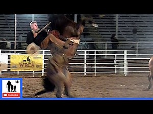 Bronc Riding Set 2 - 2021 Colorado Championship Ranch Rodeo | Friday