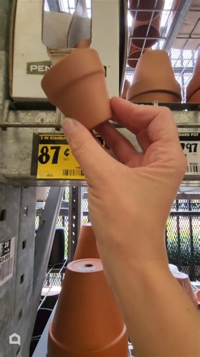 Grab a Walmart mini pot for this brilliant new front porch idea! | Hometalk