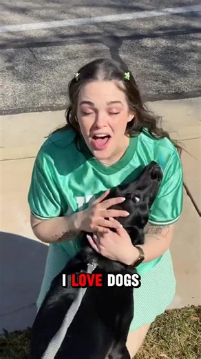 Expectation vs Reality: Dog People EXPOSED 😭🐾 (Relatable?)