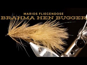 Brahma Hen Bugger - Fliege für Forellen und Karpfen