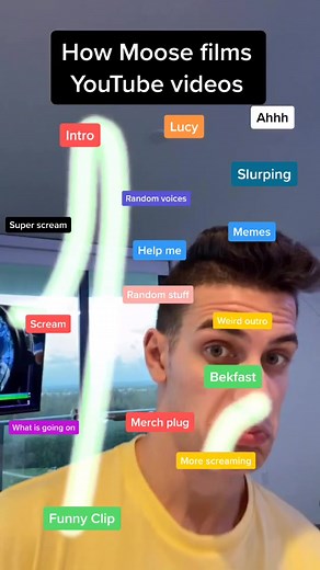 Normal YouTubers vs Moose 😂 #howidothings #nosepaintings #fyp #foryou #moosecraft #moosearmy