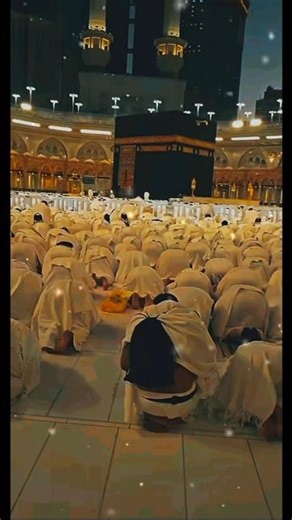 محمد کے شہر میں