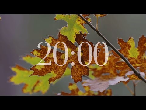 20 Minute Countdown Timer (with Relaxing Music)
