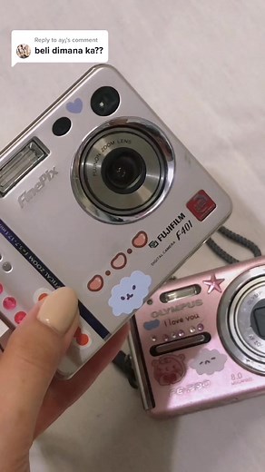 Fujifilm FinePix F401 Digital Camera - Settings and Tips