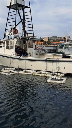Barry Alman on Instagram: "Unloading Live Lobsters Point Loma Sportfishing"