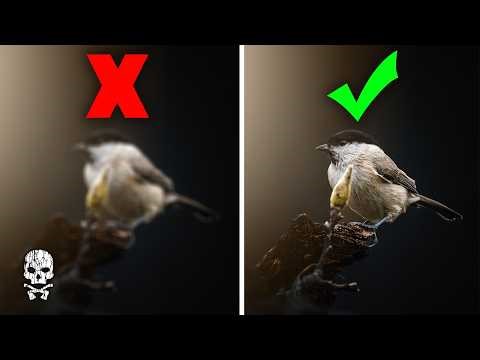Freeze Motion Photography : How To Take Pictures Of Fast Moving Subjects